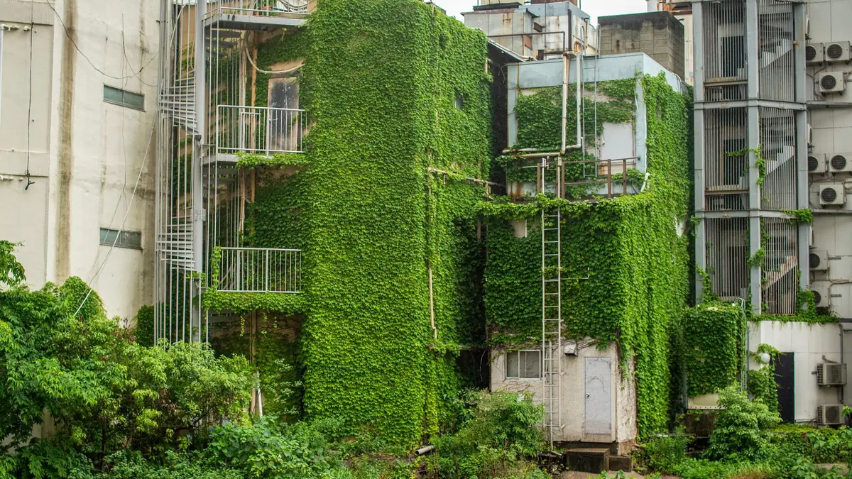 住宅地の一角で草が伸びた空き地
